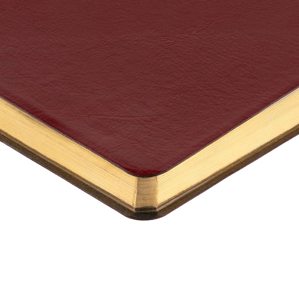 Ежедневник Nebraska Flex, недатированный, бордовый с золотистым / Миниатюра WWW (1000)