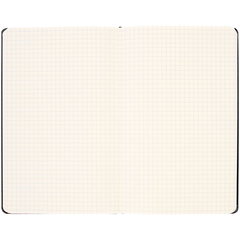 Записная книжка Moleskine Classic Large, в клетку, черная / Миниатюра WWW (1000)