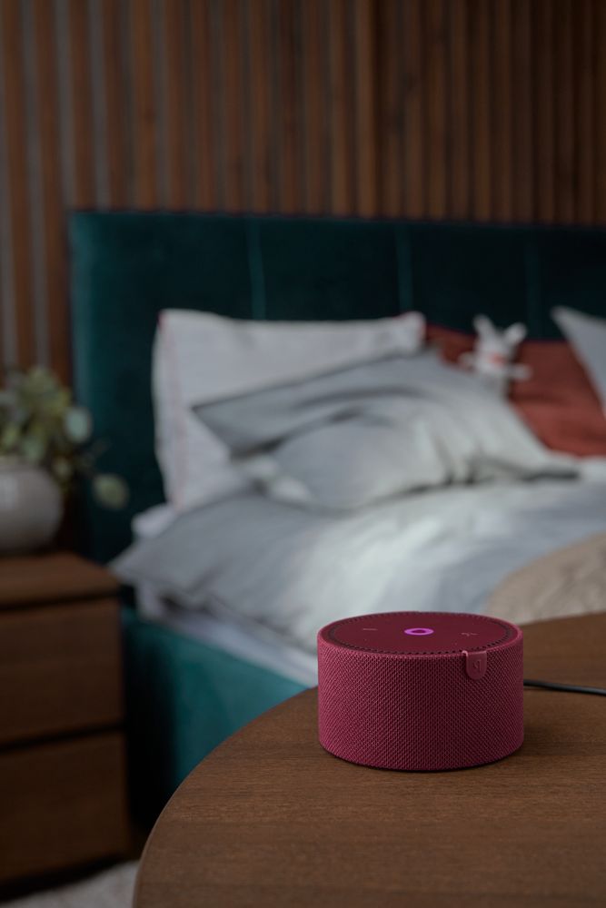 Умная колонка «Новая Яндекс Станция Мини» с часами, красная / Миниатюра WWW (1000)