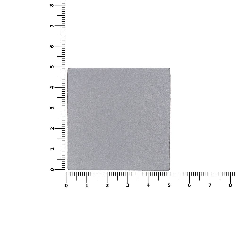 Лейбл светоотражающий Tao, L, серый / Миниатюра WWW (1000)