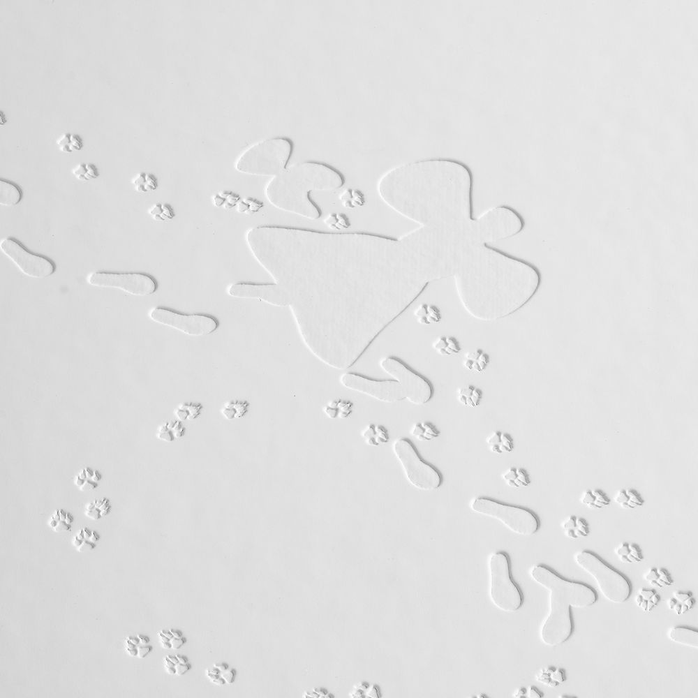 Набор «Снежный ангел» / Миниатюра WWW (1000)