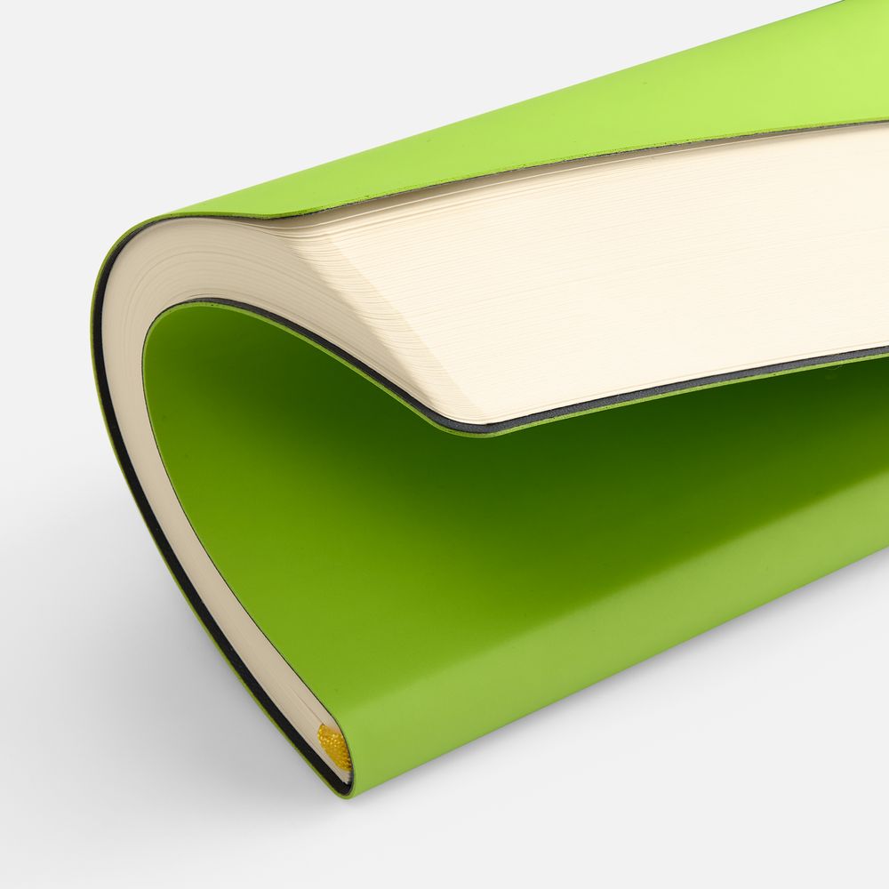 Ежедневник Flex Shall New, недатированный, светло-зеленый / Миниатюра WWW (1000)