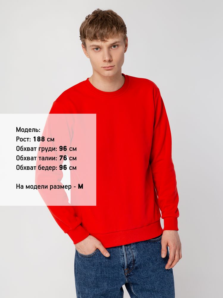 Свитшот Toima 2.0 Heavy, красный / Миниатюра WWW (1000)