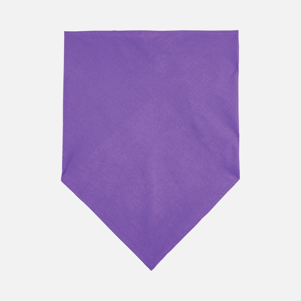Шейный платок Bandana, темно-фиолетовый / Миниатюра WWW (1000)