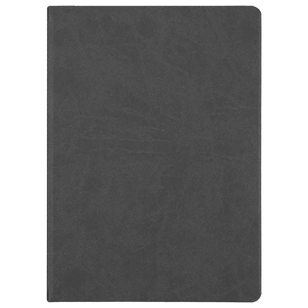 Ежедневник Basis, датированный, серый / Миниатюра WWW (1000)