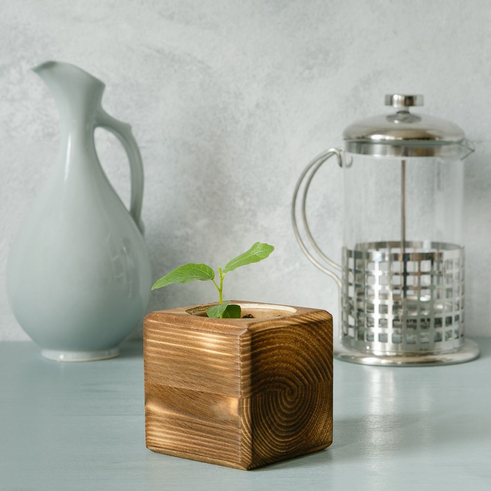 Набор для выращивания с органайзером «Экокуб Burn», акация / Миниатюра WWW (1000)