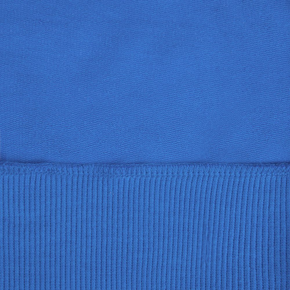 Толстовка на молнии с капюшоном Siverga 2.0, ярко-синяя / Миниатюра WWW (1000)