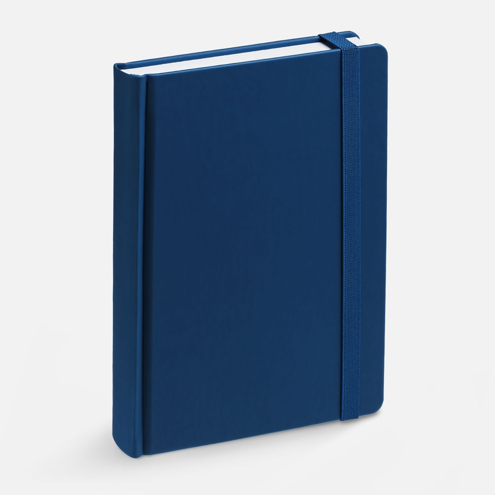 Ежедневник Favor, недатированный, синий / Миниатюра WWW (1000)