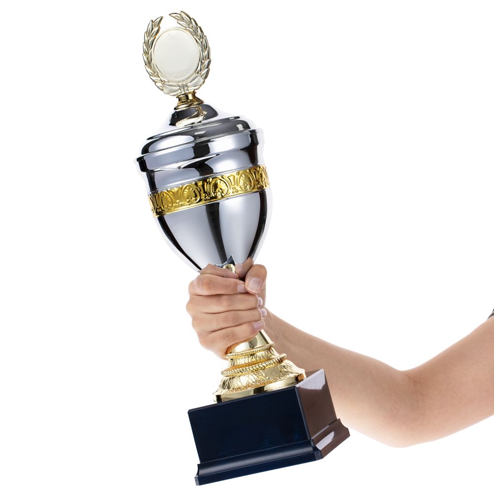 Кубок EnterPrize, серебристый / Миниатюра WWW (1000)