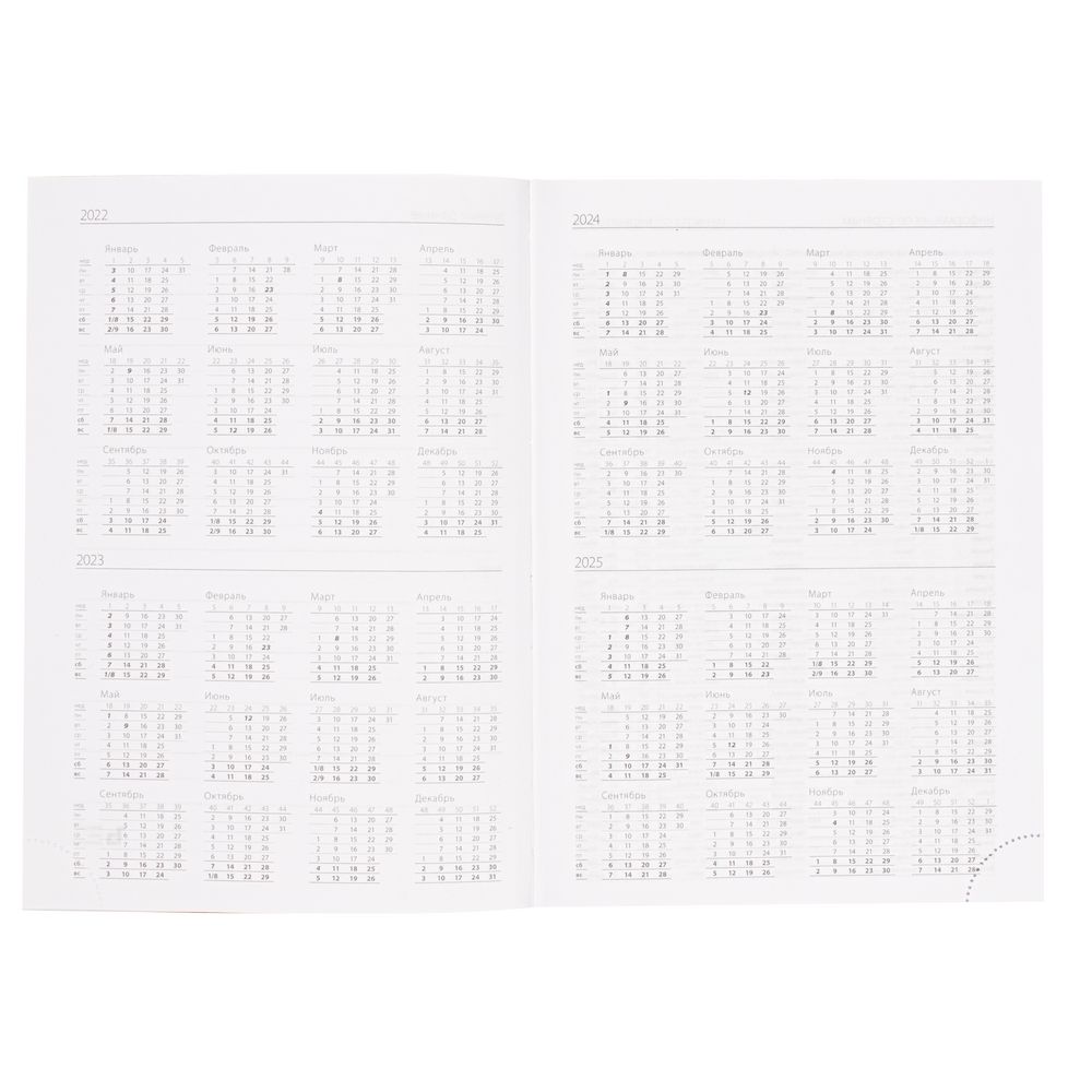 Ежедневник Favor, недатированный, синий / Миниатюра WWW (1000)