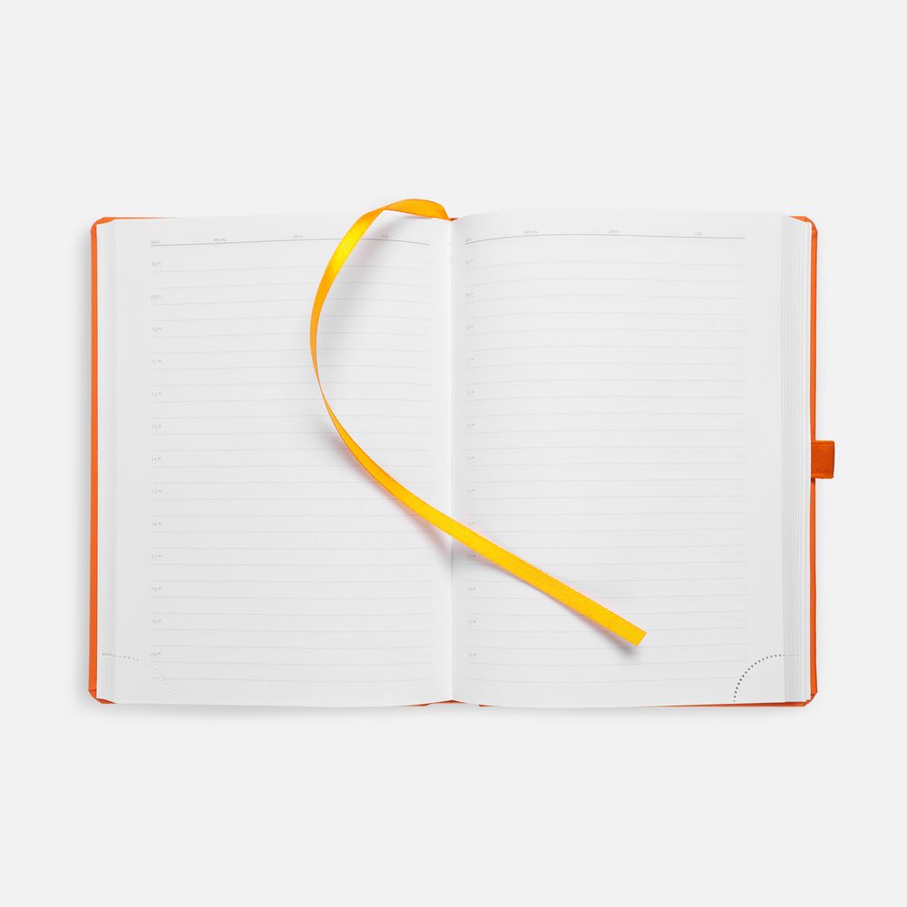 Ежедневник Favor Metal, недатированный, оранжевый / Миниатюра WWW (1000)