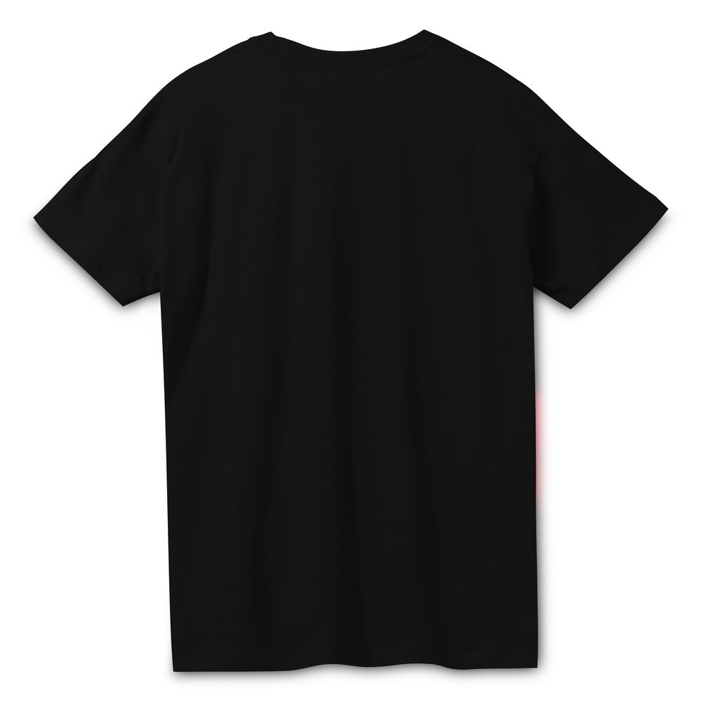 Футболка унисекс Regent 150, черная / Миниатюра WWW (1000)