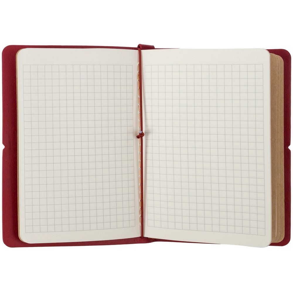 Органайзер Manifold Mini, красный / Миниатюра WWW (1000)