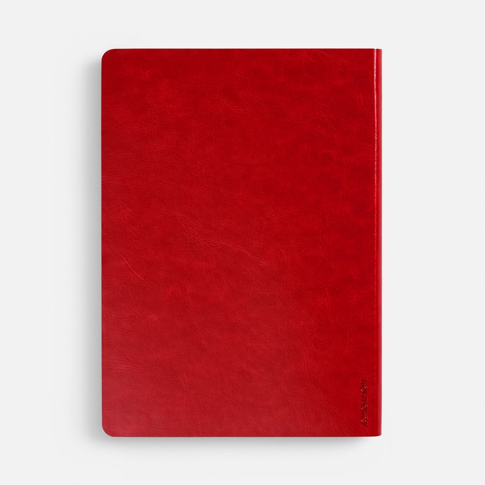 Ежедневник Nebraska Flex, недатированный, красный с серебристым / Миниатюра WWW (1000)