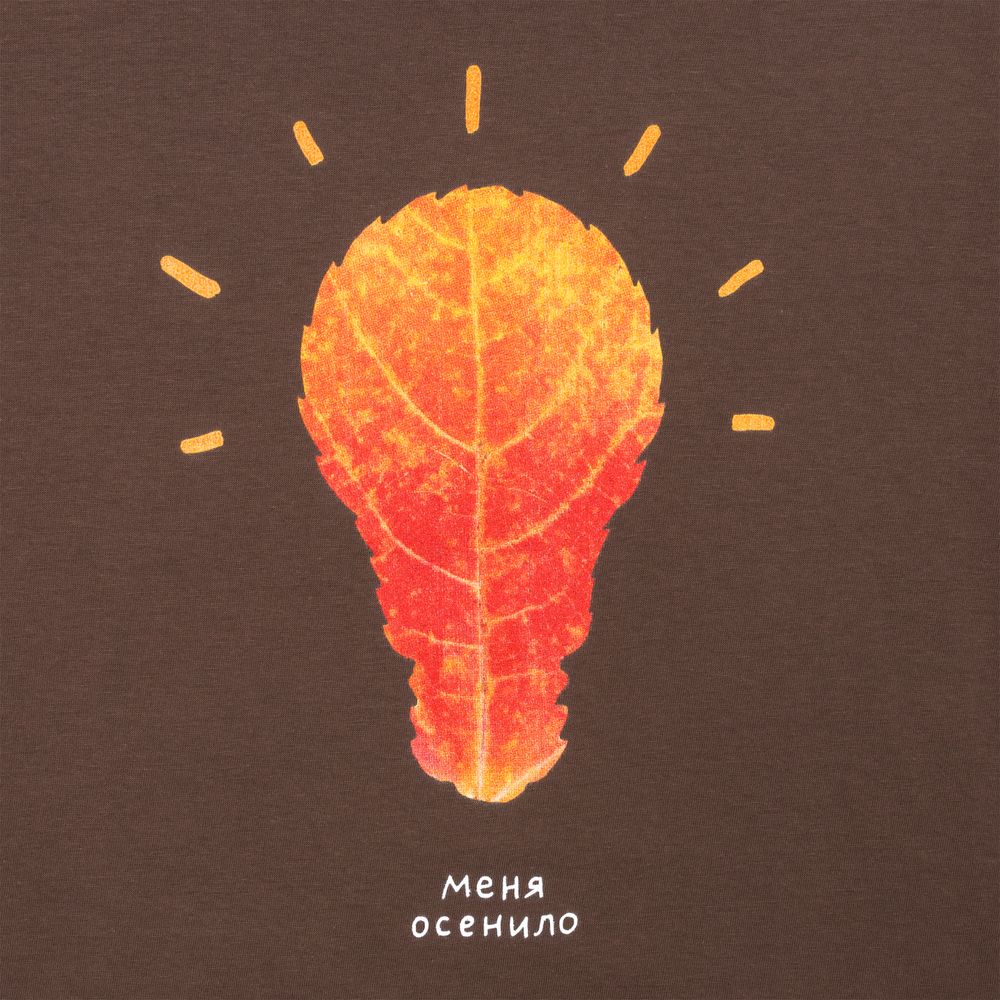 Футболка «Осенило», шоколадно-коричневая / Миниатюра WWW (1000)