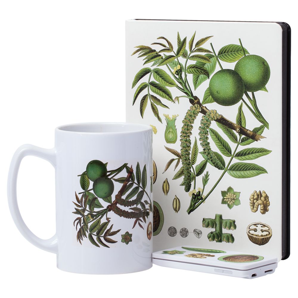 Кружка «Грецкий орех» / Миниатюра WWW (1000)