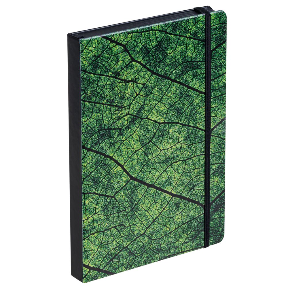 Ежедневник Evergreen, недатированный / Миниатюра WWW (1000)