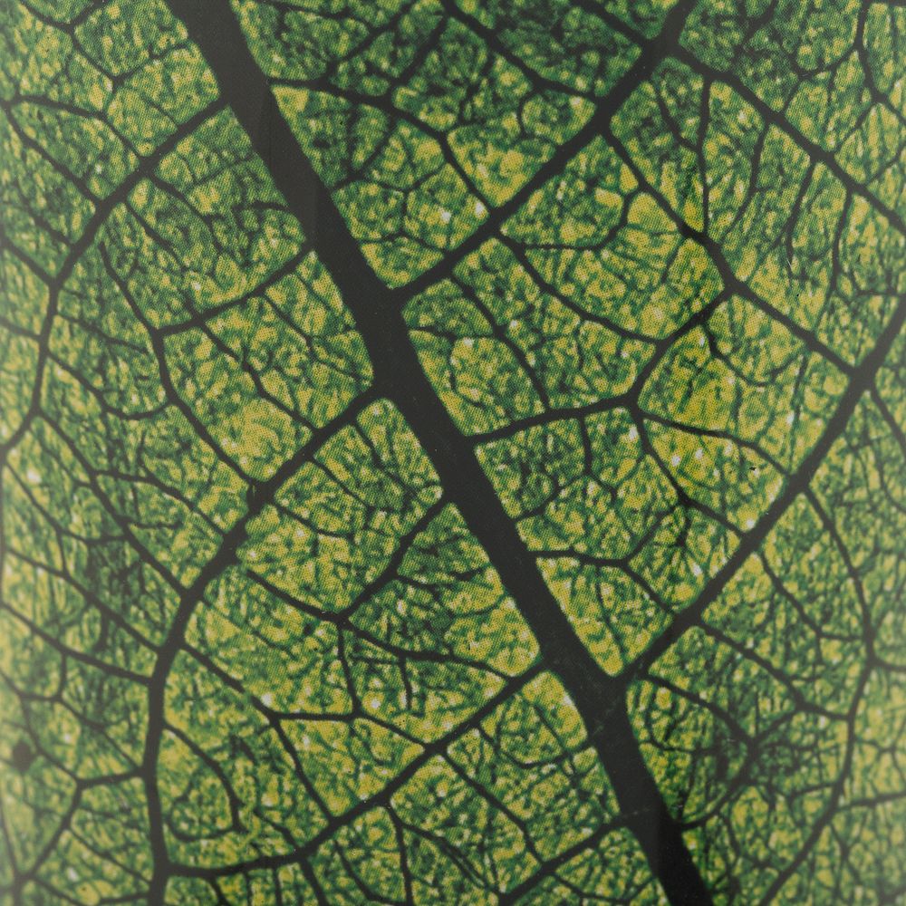 Термостакан Evergreen / Миниатюра WWW (1000)