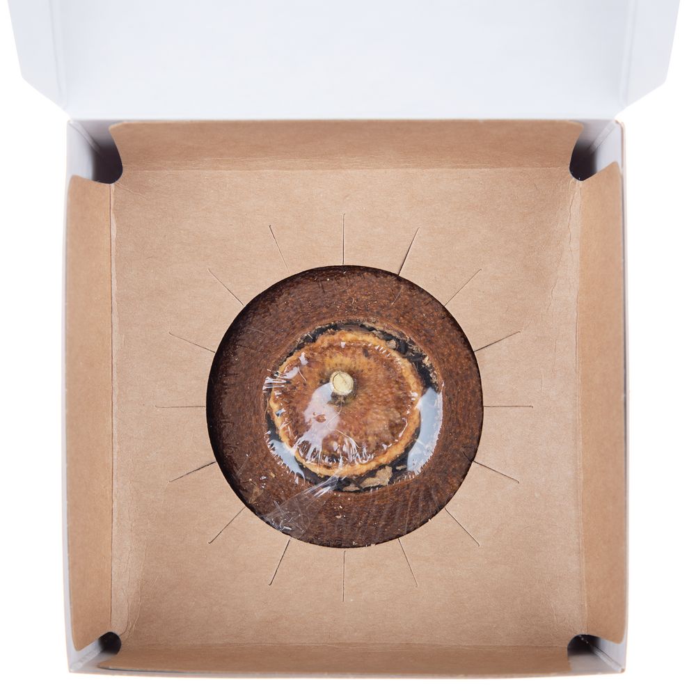 Черный чай Citrus в апельсине с маслом лайма / Миниатюра WWW (1000)