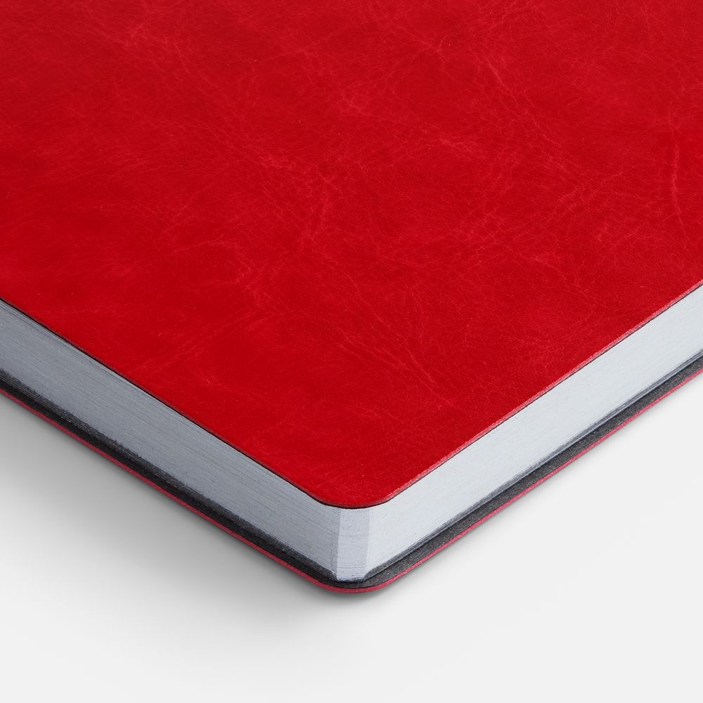 Ежедневник Nebraska Flex, недатированный, красный с серебристым / Миниатюра WWW (1000)