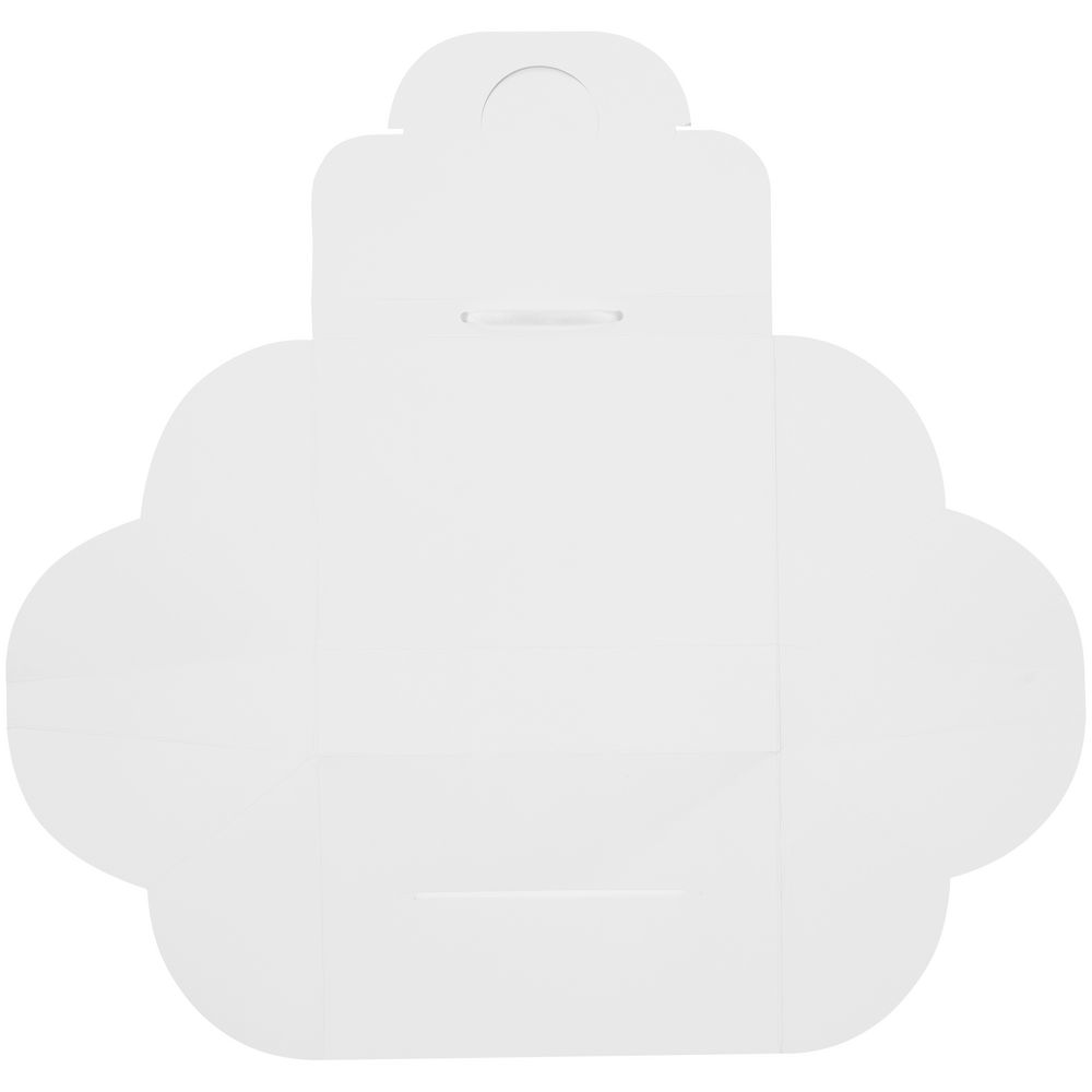 Упаковка Maiden, большая, белая / Миниатюра WWW (1000)