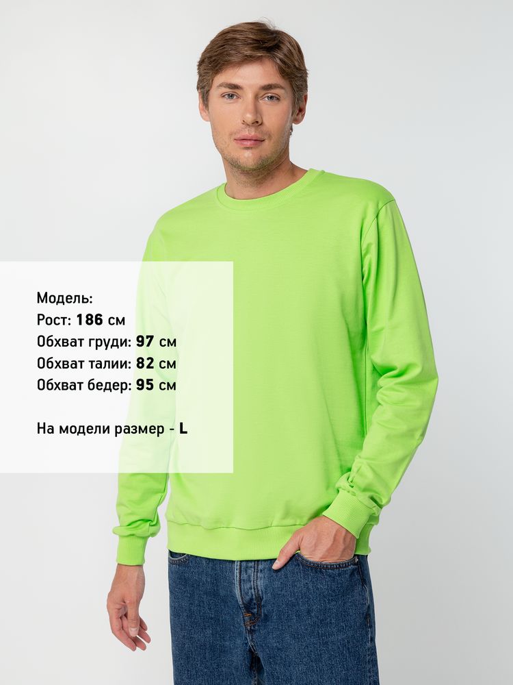 Свитшот Toima 2.0, зеленое яблоко / Миниатюра WWW (1000)