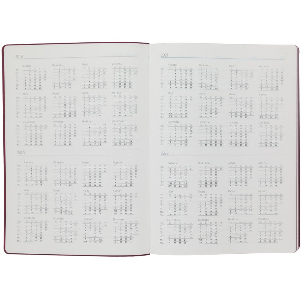 Ежедневник Flexpen, недатированный, серебристо-бордовый / Миниатюра WWW (1000)