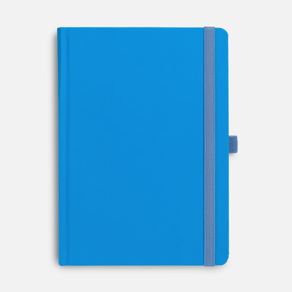 Ежедневник Favor, недатированный, голубой / Миниатюра WWW (1000)