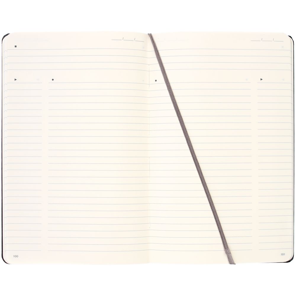 Записная книжка Moleskine Professional Large, черная / Миниатюра WWW (1000)