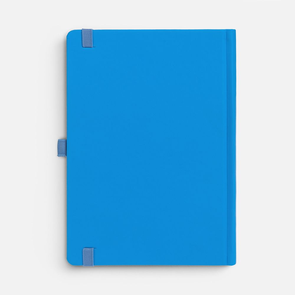 Ежедневник Favor, недатированный, голубой / Миниатюра WWW (1000)