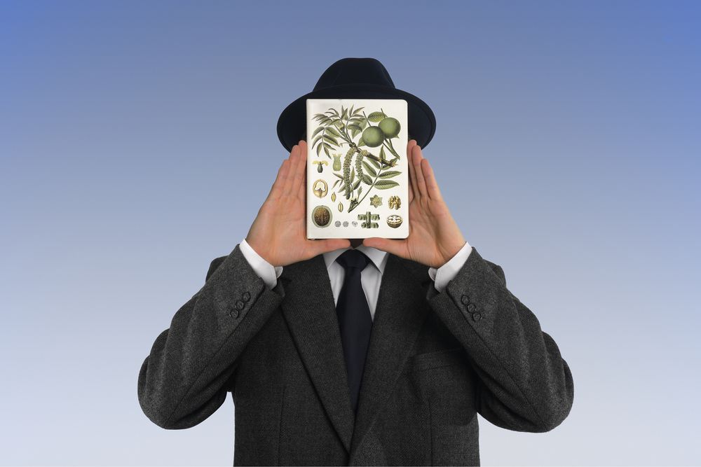 Кружка «Грецкий орех» / Миниатюра WWW (1000)