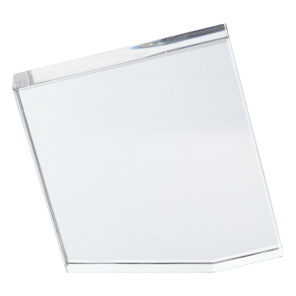 Награда «Точка опоры» / Миниатюра WWW (1000)