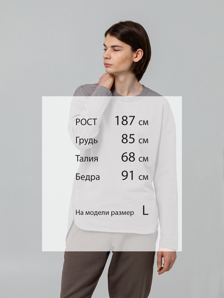 Футболка с длинным рукавом Kosmos 1.0, серая / Миниатюра WWW (1000)