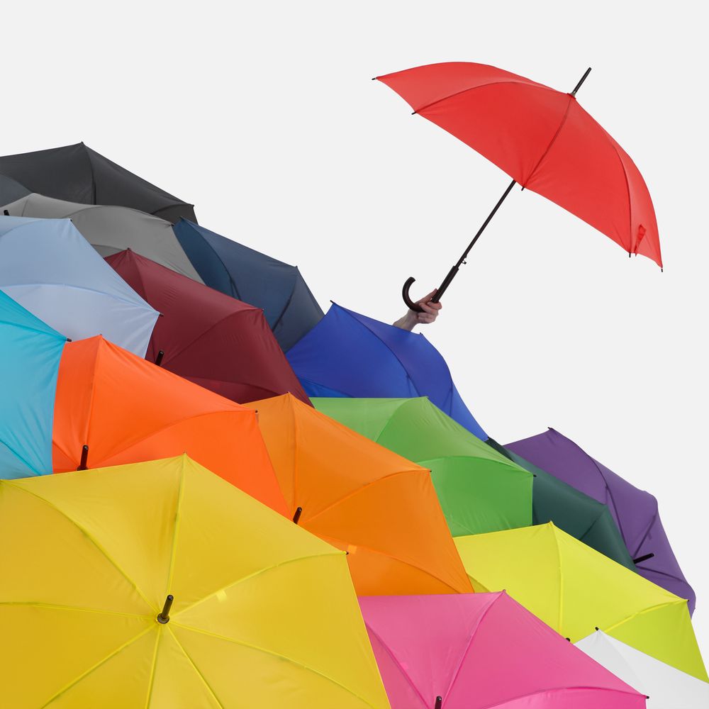 Зонт-трость Standard, черный / Миниатюра WWW (1000)