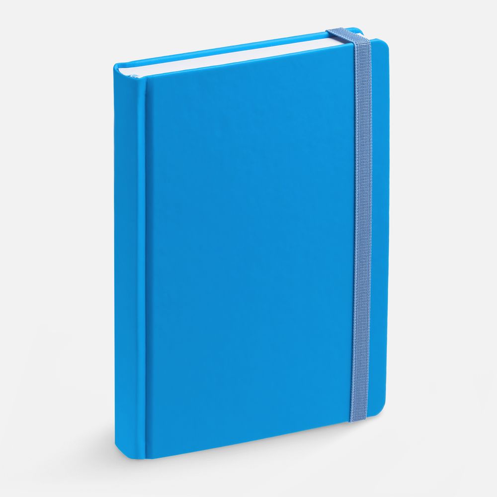 Ежедневник Favor, недатированный, голубой / Миниатюра WWW (1000)