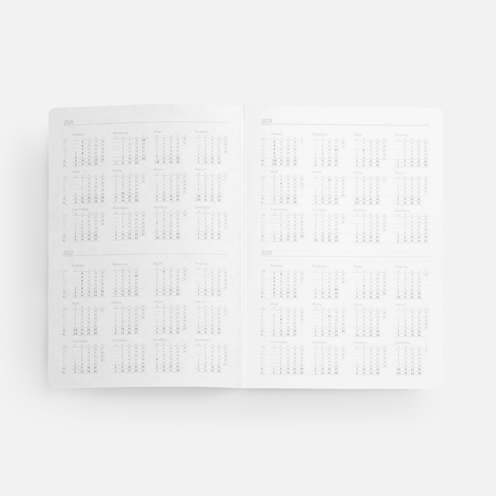 Ежедневник Flexpen, недатированный, серебристо-зеленый / Миниатюра WWW (1000)