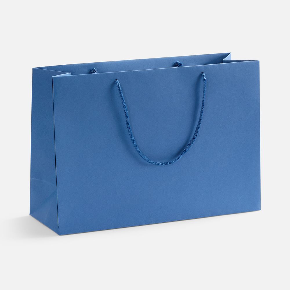 Пакет бумажный Ample Thin M, светло-синий / Миниатюра WWW (1000)