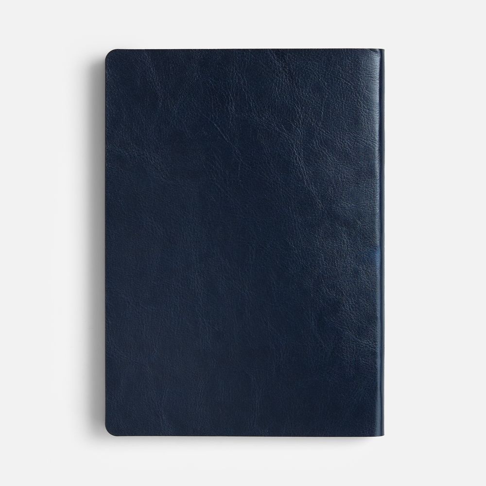 Ежедневник Doppio, недатированный, синий с оранжевым / Миниатюра WWW (1000)