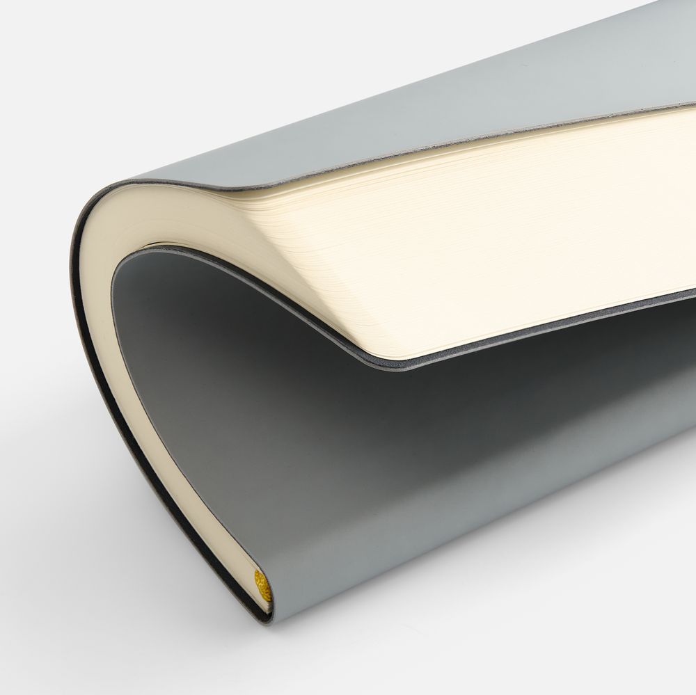 Ежедневник Flex Shall New, недатированный, серый / Миниатюра WWW (1000)