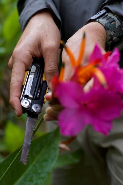 Мультитул Signal, стальной-черный / Миниатюра WWW (1000)