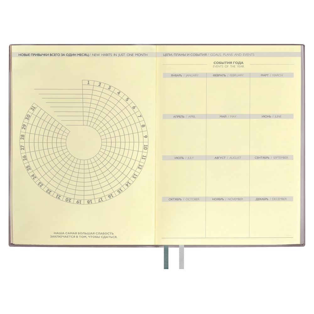Ежедневник Avila, недатированный, серый / Миниатюра WWW (1000)