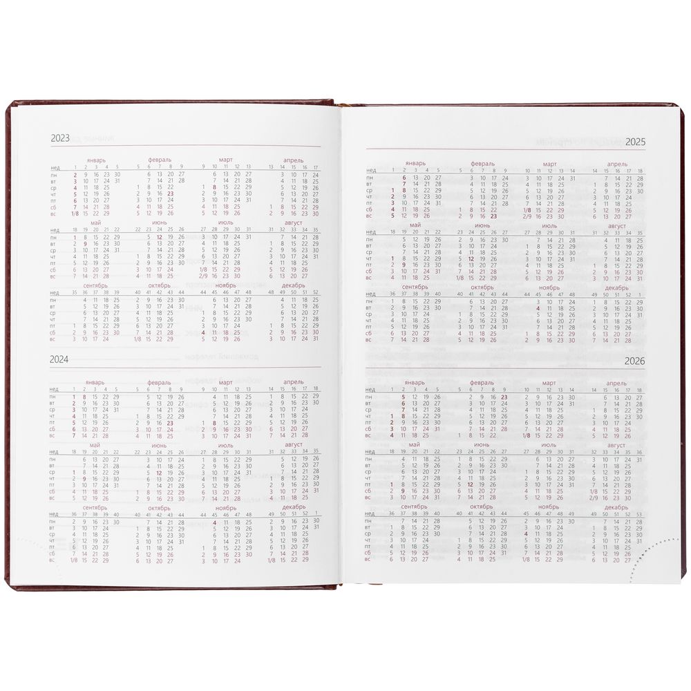 Ежедневник New Nebraska, датированный, коричневый / Миниатюра WWW (1000)