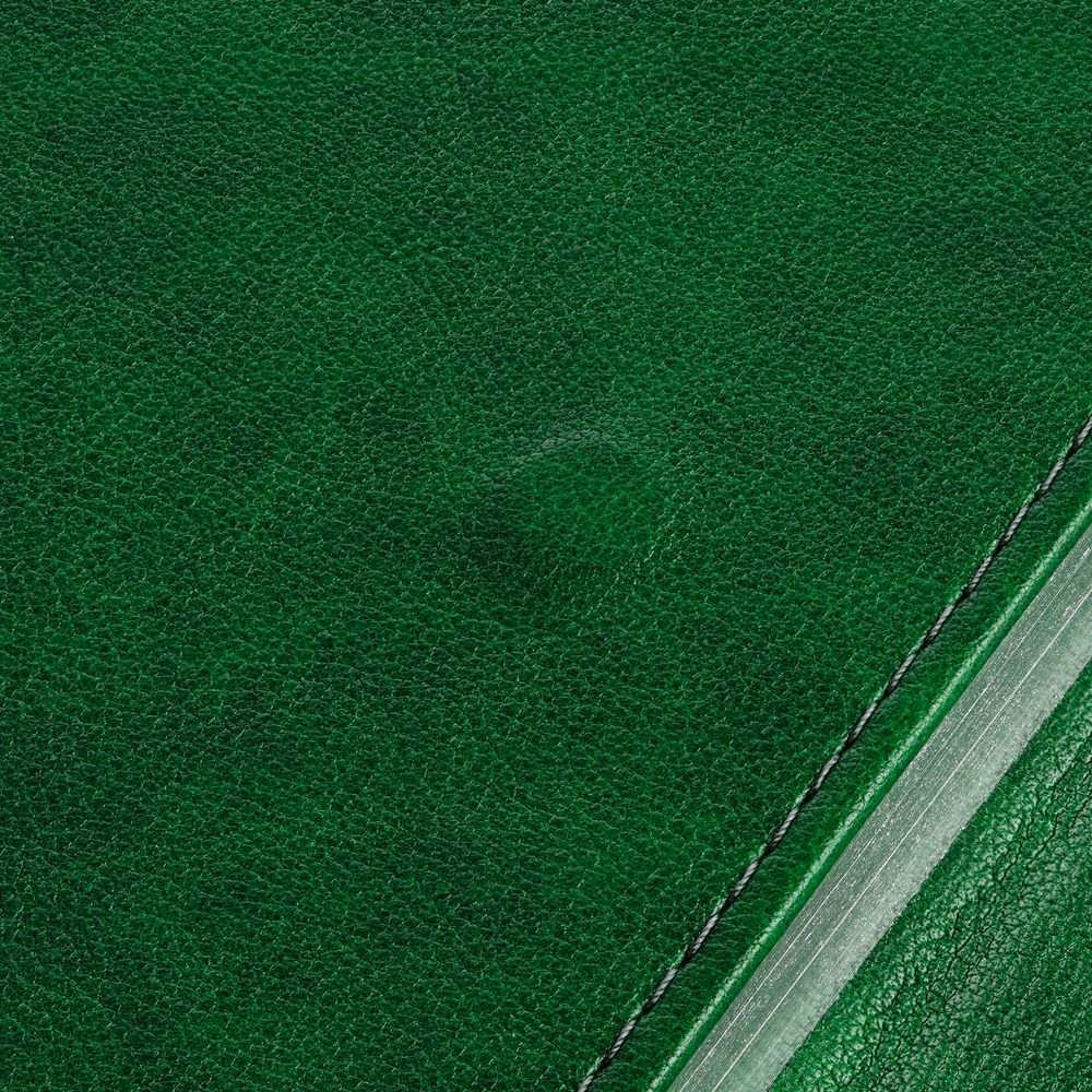 Ежедневник Flap, недатированный, зеленый / Миниатюра WWW (1000)