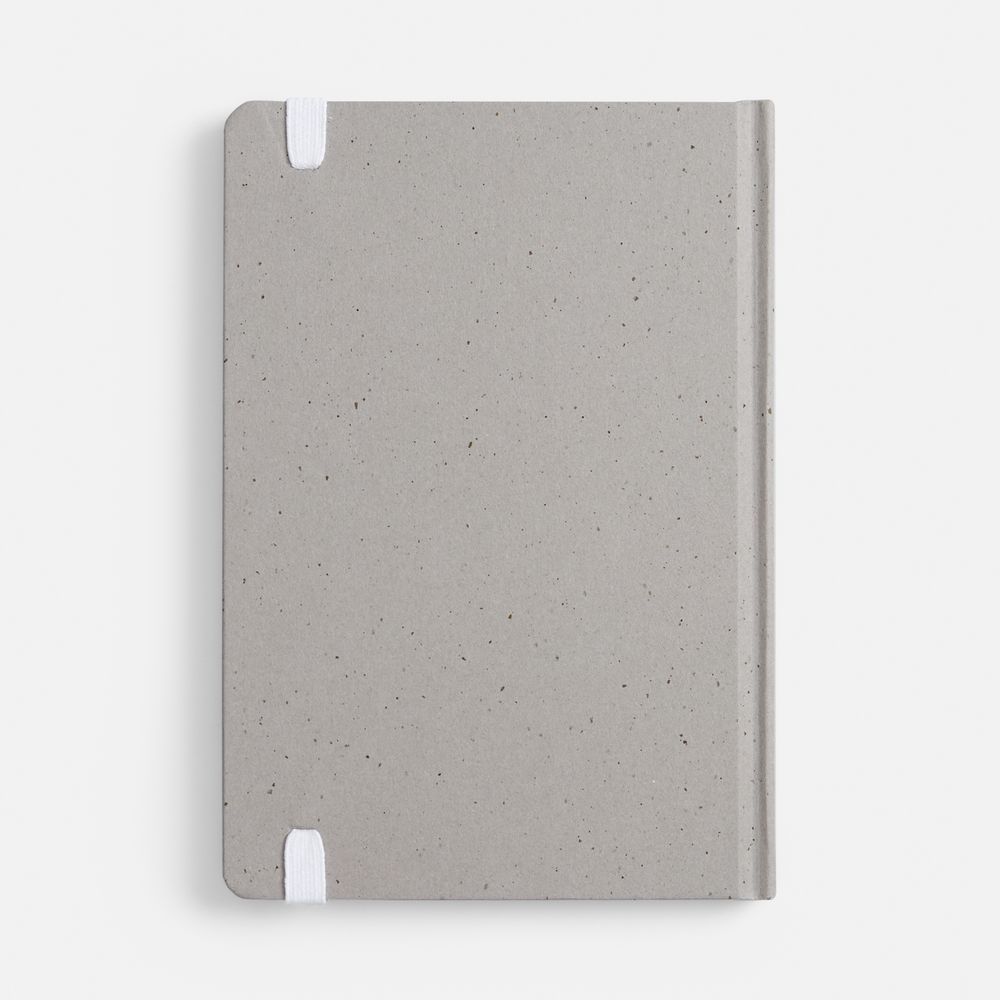 Блокнот Lactonica, серый / Миниатюра WWW (1000)