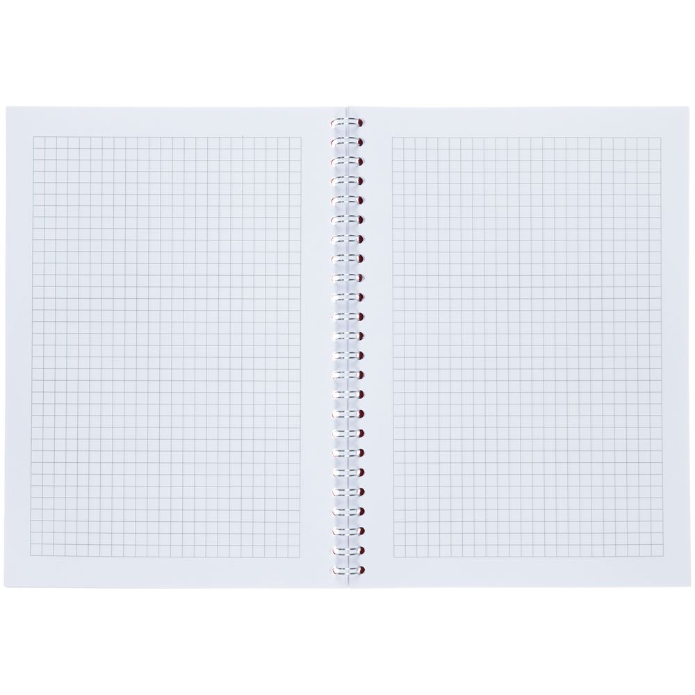 Блокнот Salvador в клетку, синий / Миниатюра WWW (1000)