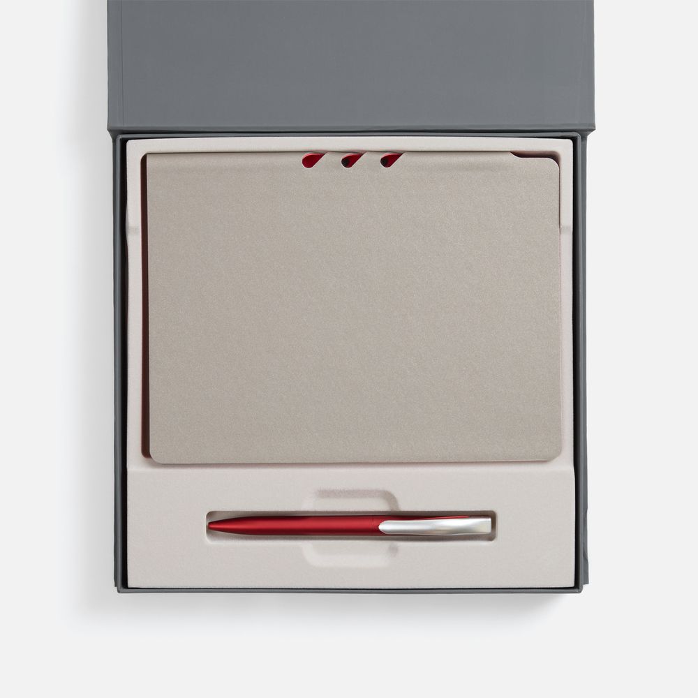 Набор Flexpen Grey, красный / Миниатюра WWW (1000)