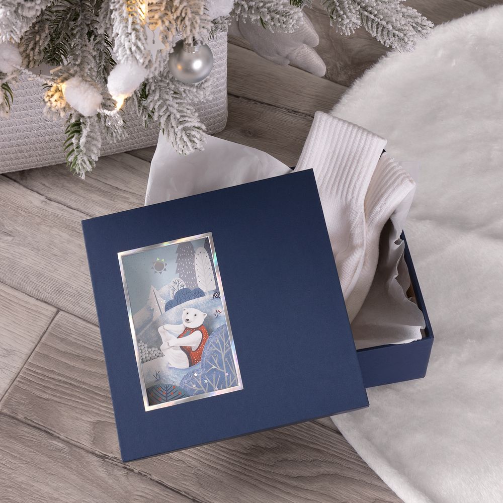 Коробка The Blue Bear, S / Миниатюра WWW (1000)