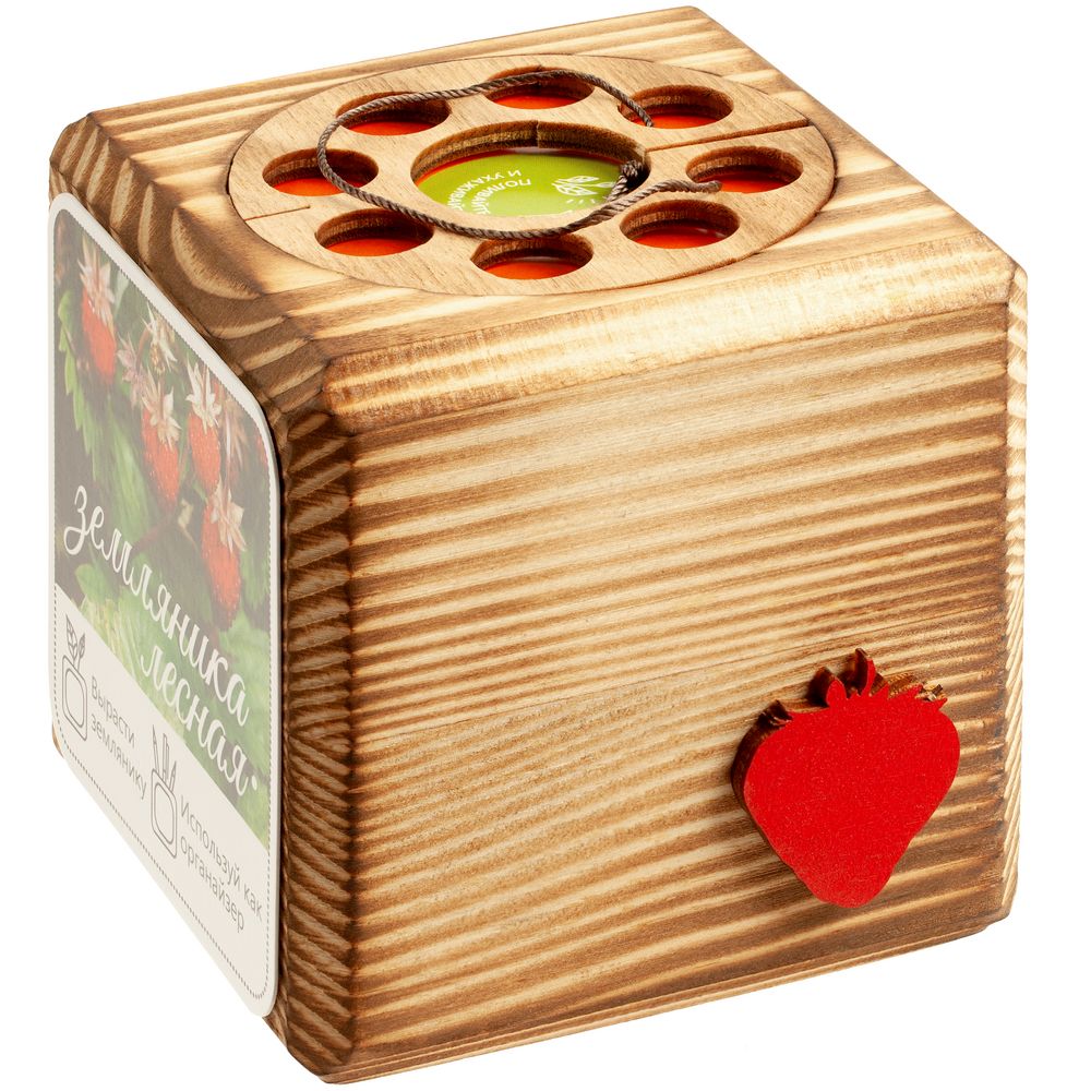 Набор для выращивания с органайзером «Экокуб Burn», земляника / Миниатюра WWW (1000)