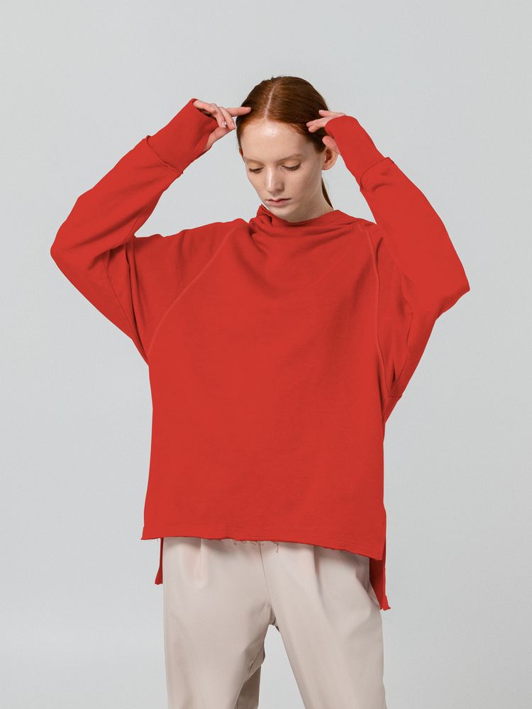 Худи унисекс Vozduh 1.0, красное / Миниатюра WWW (1000)