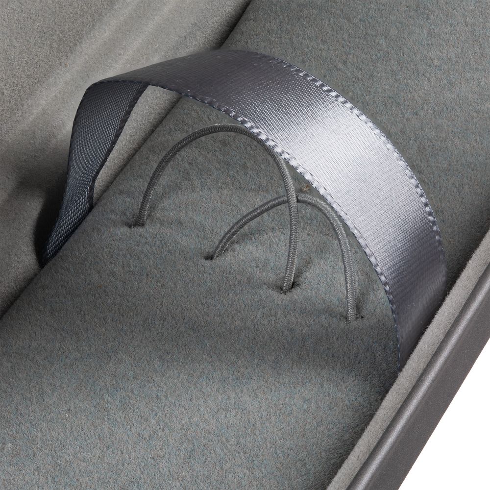 Футляр для ручек Coverty Plus, ver.2, серебристый / Миниатюра WWW (1000)